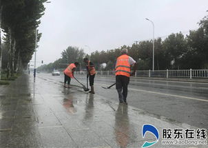 萊山公路局及時(shí)清理雨水篦子，保障公路排水與道路清潔